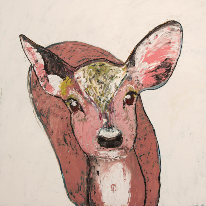 Fawn