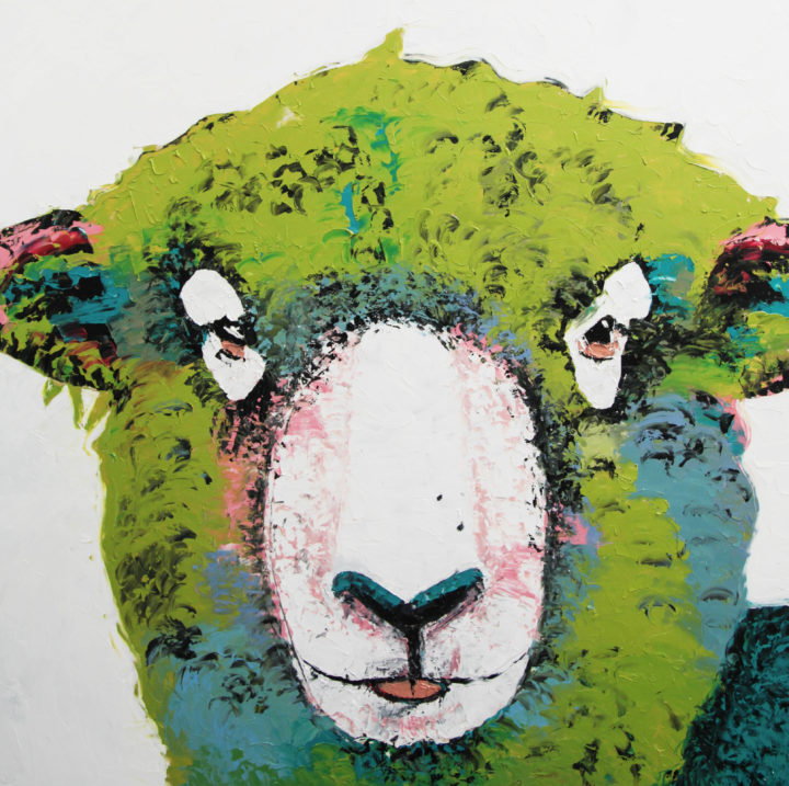 Sheep