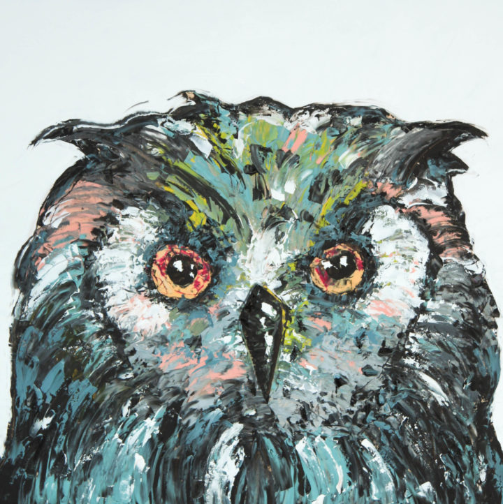 Little Owl