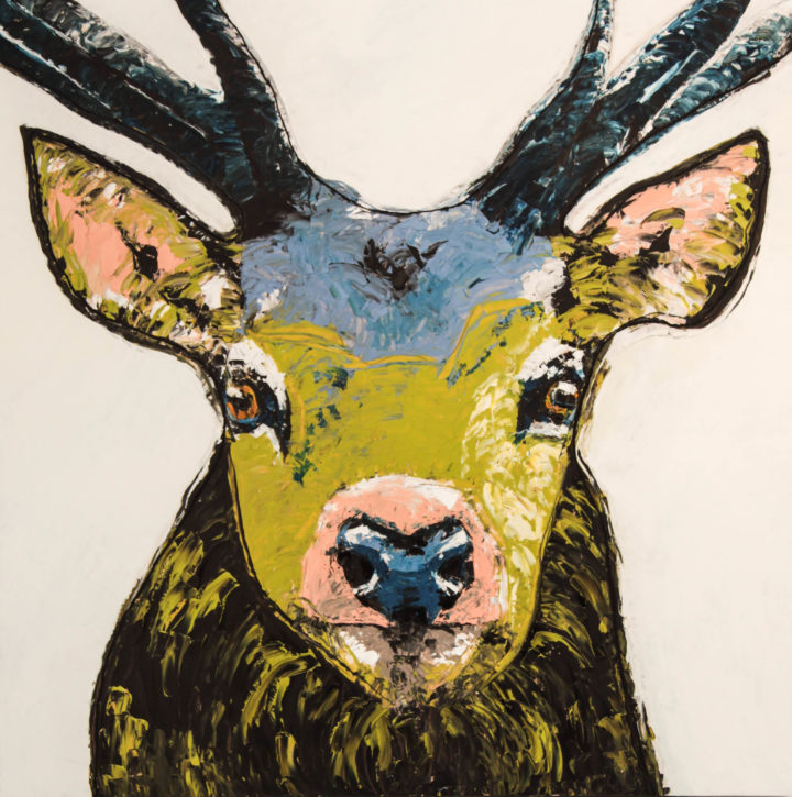Stag