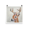 Deer - Image 2