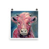 Plato Calf - Image 4