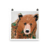 Finny - Image 5