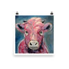 Plato Calf - Image 5